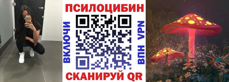 omg маркетплейс  Абакан  Галлюциногенные грибы прущие грибы 