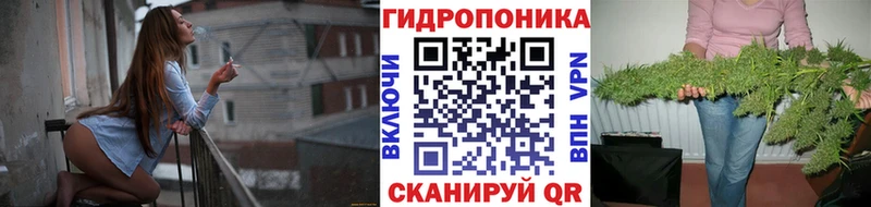 Шишки марихуана THC 21%  наркотики  Абакан 